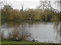 The lake in Parsloes Park