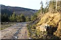 NS0885 : Forest road in Glen Tarsan by Alan Reid