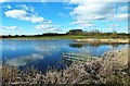 Spring At Trabboch Loch