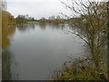 Boating Lake in Harrow Lodge Park