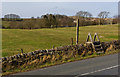 SD7636 : A stile and footpath opposite Laneside Farm by Ian Greig