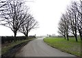 View across the A1077 at Barrow Mere