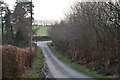 West Somerset : Country Lane