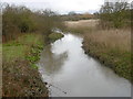 The River Beam flowing through The Chase Nature Reserve