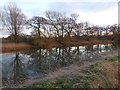 SP9958 : River Great Ouse near Felmersham by PAUL FARMER