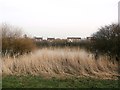 View Across the Trent to Wildsworth