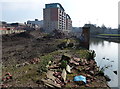 Wasteland along the Grand Union Canal at Black Friars