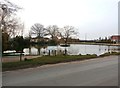 Village Pond at Westwoodside