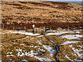 SD6513 : Gate on Smithills Moor by David Dixon