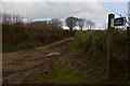 North Devon : Farm Track