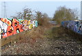 Graffiti covered disused railway bridge