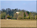 Church in the trees