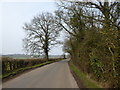 Road alongside Whitley Brake