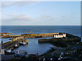 St Abbs Harbour In The Late Afternoon Sun