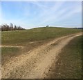 The summit of Phoenix Park