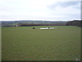 Farmland, Gadding Moor