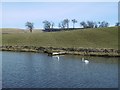 Pond near Southfield