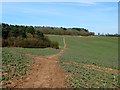 The path to Eakring Brail Wood