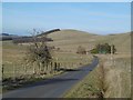 Yellow road, Dodburn