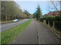 Cycle path by Dussindale Drive