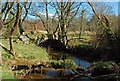 Bridge Over Barlewan Burn