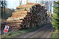 Logpile, Lead Wath Wood