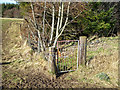 Gate leading to the Corelinn Bridge