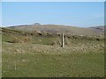 View towards Penchrise Pen