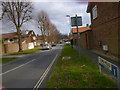 Looking east on Town Mead