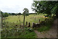 Stile by The Limestone Way