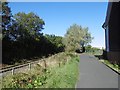 Path and North Tyneside Steam Railway