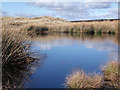 SK0794 : Shelf Moor Pond by Stephen Burton