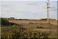 Farmland on the edge of Frome