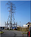 Electricity pylon, Pemberton, Llanelli 