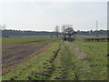 Path from Rainford Road to Intake Lane