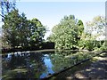 Pond, Elland Hall Farm