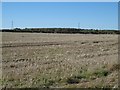 Stubble near Darras Hall