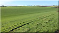 Fields at Sunnyside Farm