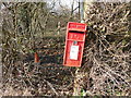 TQ9241 : Sloping Post Box near Tuesnoad Lane by David Hillas