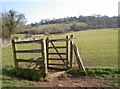 Gate in the fencing