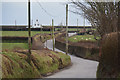 North Devon : Country Lane