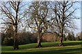 NS5557 : 3 Elm Trees in Rouken Glen Park in Glasgow by Garry Cornes