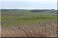 Farmland near Herdsman