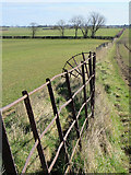 TA1542 : Fence and bridleway, Rise by Paul Harrop