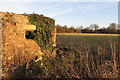 Overgrown pillbox near Henlow Airfield