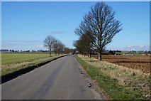 SE9314 : Risby Road towards Low Risby by Ian S