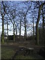 Path through woodland to Montrose Open Space