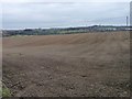 Large field south-east of Worsbrough