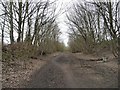 The Trans Pennine Trail, Worsbrough, looking west