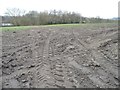 Muddy field entrance south of Wingfield Farm